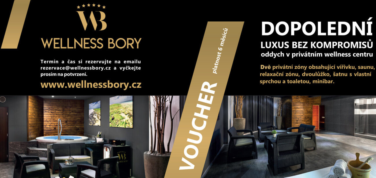 Dopolední wellness ve Wellness Bory